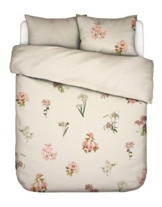 ESSENZA Annebella Vanilla Duvet cover 240 x 220 cm