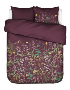 Essenza Augustina Mauve wine  200 x 200