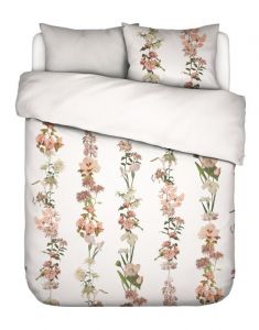 ESSENZA Dorena White Duvet cover 240 x 220 cm
