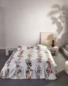 ESSENZA Dorena White Duvet cover 240 x 220 cm