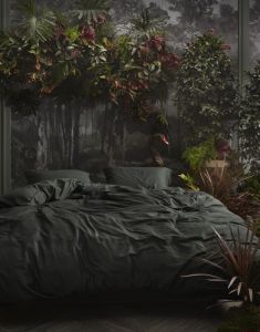 ESSENZA Minte   260 x 220