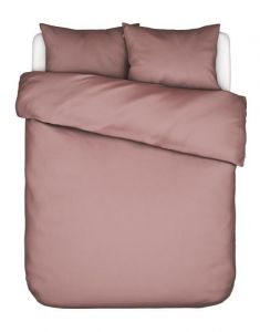 ESSENZA Minte   260 x 220