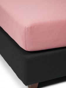 ESSENZA The Perfect Organic Jersey   140-160 x 200-220