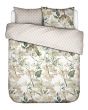 ESSENZA Rosalee White Duvet cover 240 x 220 cm