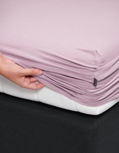 ESSENZA Premium Jersey Lila Spannbettlaken 180-200 x 200-220 cm