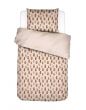 Covers & Co Beary much Brown Duvet cover 120 x 150