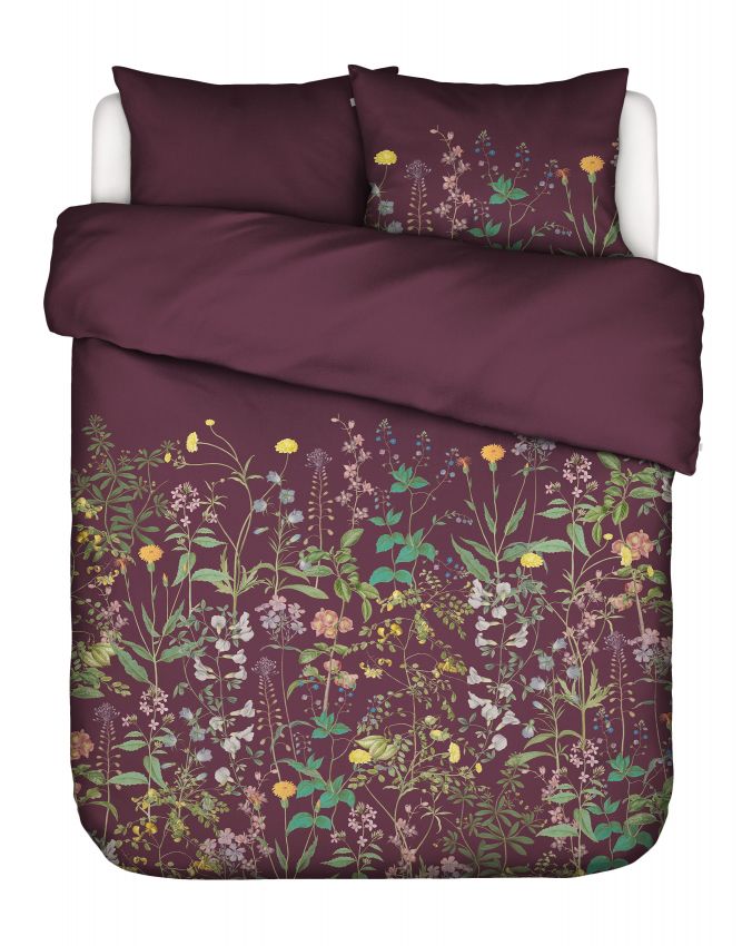 Essenza Augustina Mauve wine  200 x 220