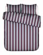 Essenza Minte Stripe Mauve wine - Ice blue  260 x 220