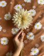 Covers & Co Oopsie Daisy Hazel Duvet cover 140 x 220