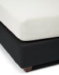 ESSENZA The Perfect Organic Jersey   180-200 x 200-220