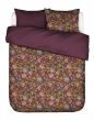 Essenza Rosanella Mauve wine  200 x 220