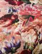 ESSENZA Anneclaire   200 x 200