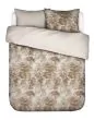 ESSENZA Aurelie   260 x 220