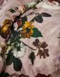 ESSENZA Fleur   155 x 220