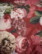 ESSENZA Fleurel   140 x 220