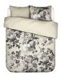 ESSENZA Floor Vanilla Duvet cover 200 x 220 cm