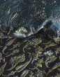 ESSENZA Issadore darkest blue Duvet cover 240 x 220 cm