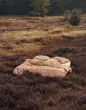 ESSENZA Maere Pink Sand Duvet cover 140 x 220 cm