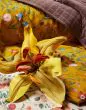 ESSENZA Marigold Flower ochre Duvet cover 135 x 200 cm