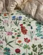 ESSENZA Marigold Vanilla Duvet cover 240 x 220 cm