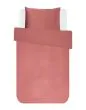 ESSENZA Minte   240 x 220