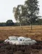 ESSENZA Ophelia Hazy Blue Duvet cover 240 x 220 cm