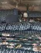 ESSENZA Tesse reef green Duvet cover 135 x 200 cm